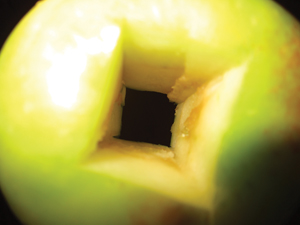 Push the core out of the apple before you bake it. Make sure that you don’t cut your finger off in the process.