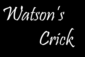 AUDIO: Watsons Crick, Episode 2