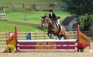 This first picture below features our own ACET captain and senior Sarah Durrer riding a horse named Ellie in the Open Fences division at a horse show hosted by Seton Hill University on October 6, 2013.  Sarah went on to place first in this event.