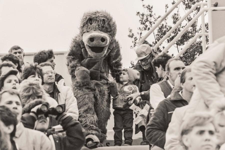 The gator mascot has been at Allegheny for the past 90 years with a variety of different looks. Not originally known as Chompers, the gator Stevie was a staple of the college. This version of the mascot is from 1987. 