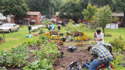 Allegheny College students collaborate with Creating Landscapes in cleaning and sprucing a Meadville community garden.