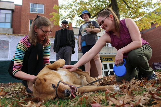 Danielle Flexer, ’17, and Chaplain Jane Ellen Nickell pet Leadville Resident, Samantha Travis’s dog at the Blessing of the Animals ceremony on Oct. 15, 2016, with Trinity Lutheran Pastor Ben Travis.
