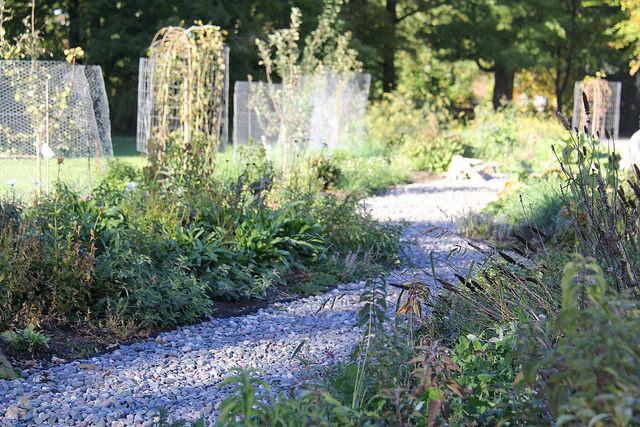 The Edible Trail at the Meadville Area Recreation Complex offers students and community members a chance to explore and contribute to their local environment.