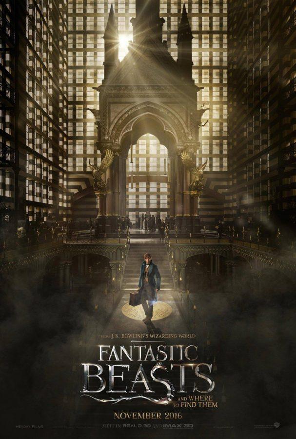 Discover new magic in ‘Fantastic Beasts and Where to Find Them’