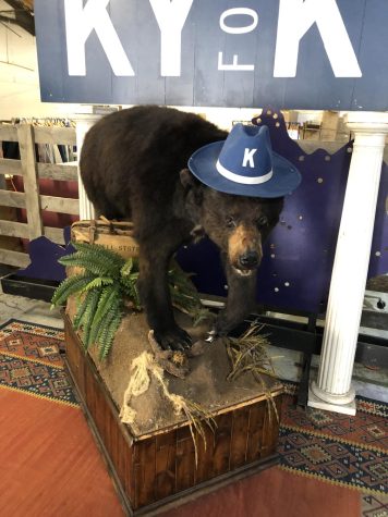 “Cocaine Bear” resides in the Kentucky for Kentucky Fun Mall. It has been the mall’s mascot since 2015. Though the inciting incident of “Cocaine Bear” occured in Georgia, the bear was found dead in Kentucky. “Cocaine Bear, Kentucky for Kentucky Fun Mall” by Ferrett333 is licensed under CC BY-SA 4.0.