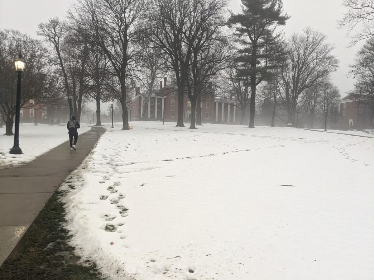 The Bicentennial Lawn between Schultz Hall and Bentley Hall was covered with snow as late as last Wednesday, Jan. 24. However, the snow — which had already melted a significant amount at the time this photo was taken — would not last much longer.