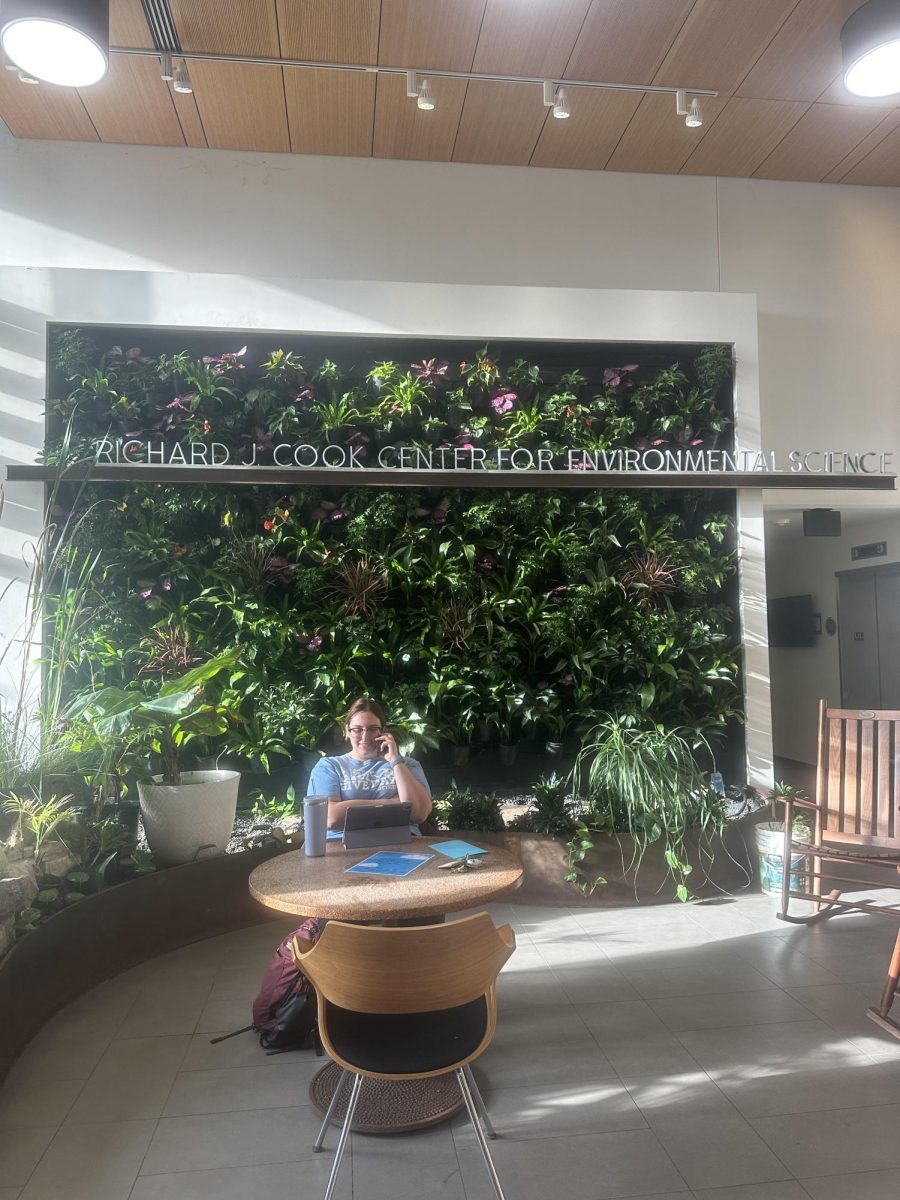 Dree Zeiszler, ’26, talks on the phone in front of the new plant wall on Sept. 19. Before its recent improvement efforts, the plant wall had not received significant upgrades since its installation 12 years ago.