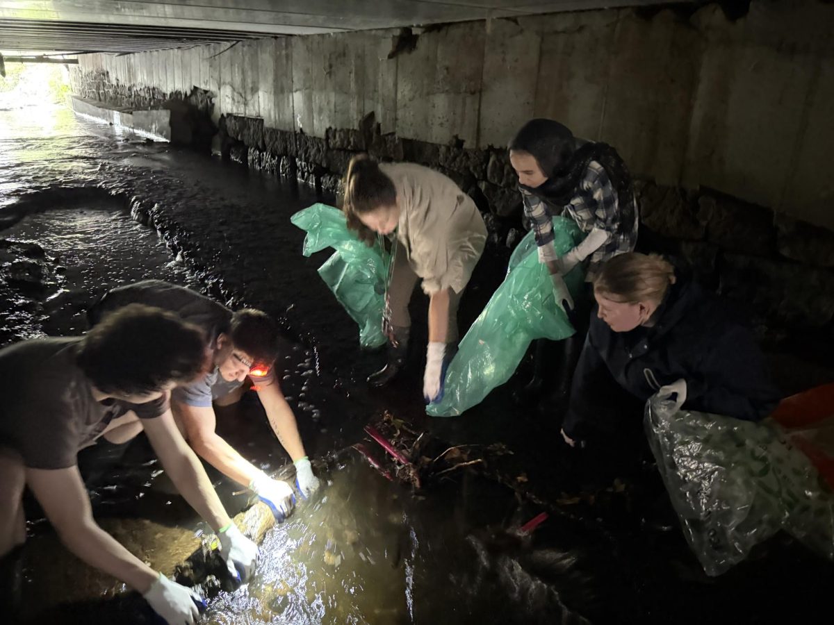 French Creek Cleanup: Another year of stewardship and community building