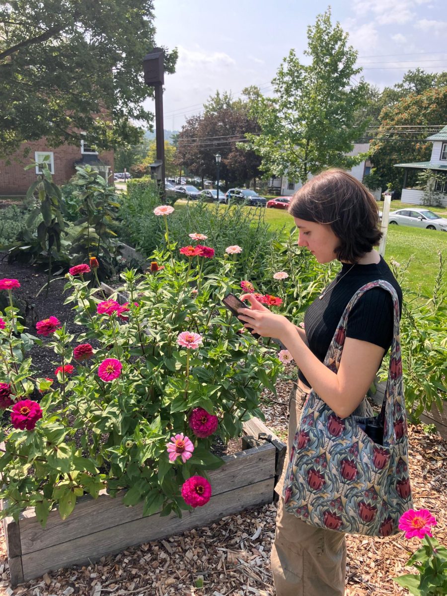 Nyomi Longhi, ’29, snaps photos for the iNaturalist app at the Bio Blitz in the Carrden on Sept. 5.