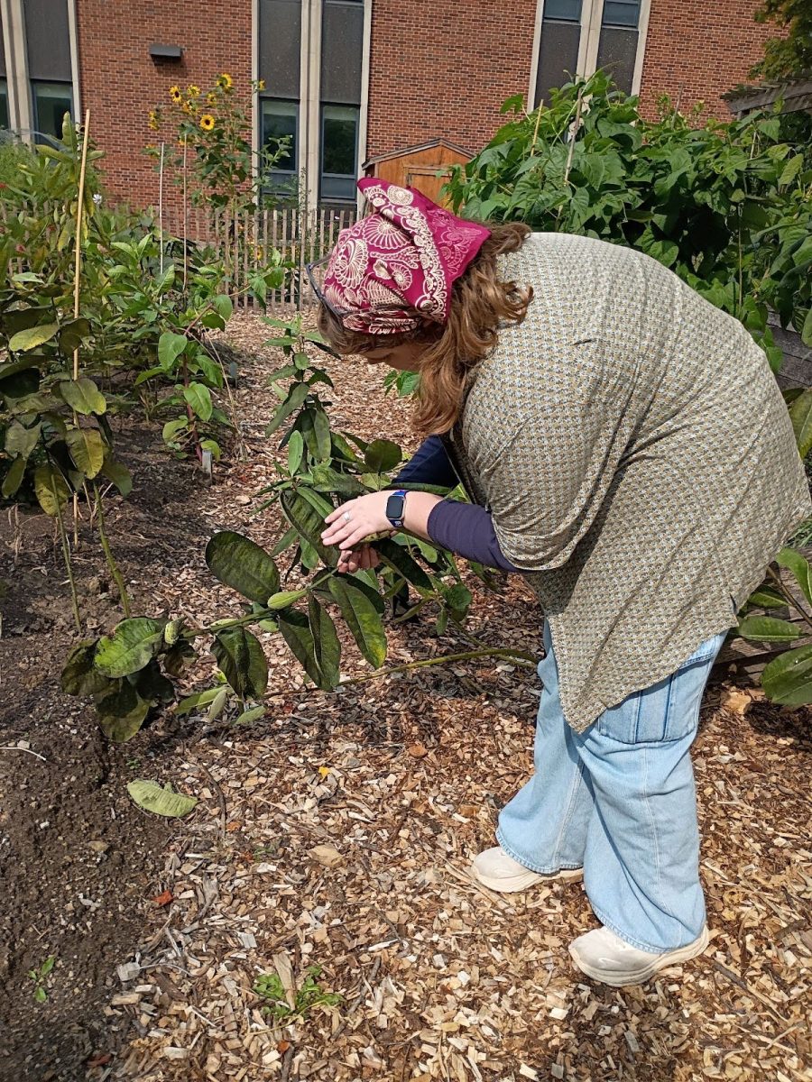 Green Coalition Co-Secretary Lauren Buettner ‘26 inspects a plant at the coalition’s “Carden Bio Blitz” event on September 5.